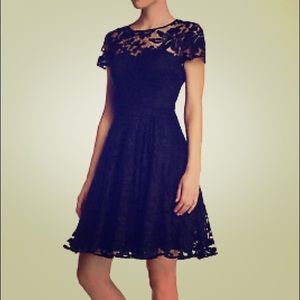 NWOT Ted Baker navy lace skater dress Size 0